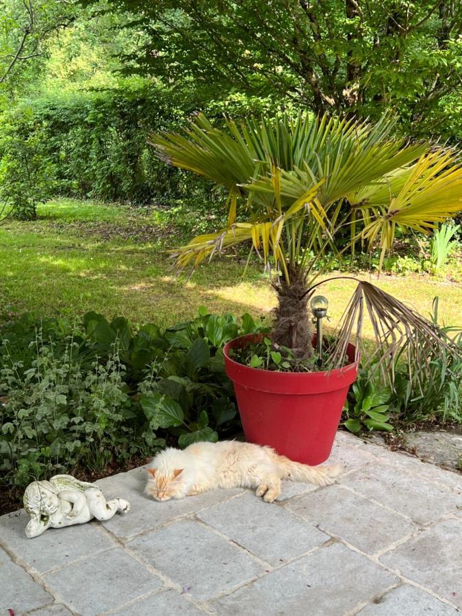 Appartamento Les Vergers Bergerac Esterno foto